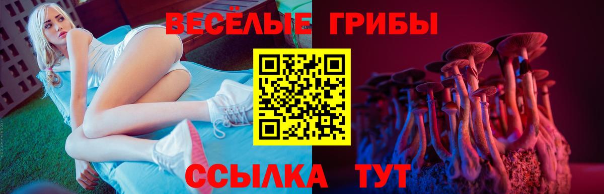 Моршанск  Галлюциногенные грибы Cubensis  Вход с VPN  Галлюциногенные грибы GOLDEN TEACHER 